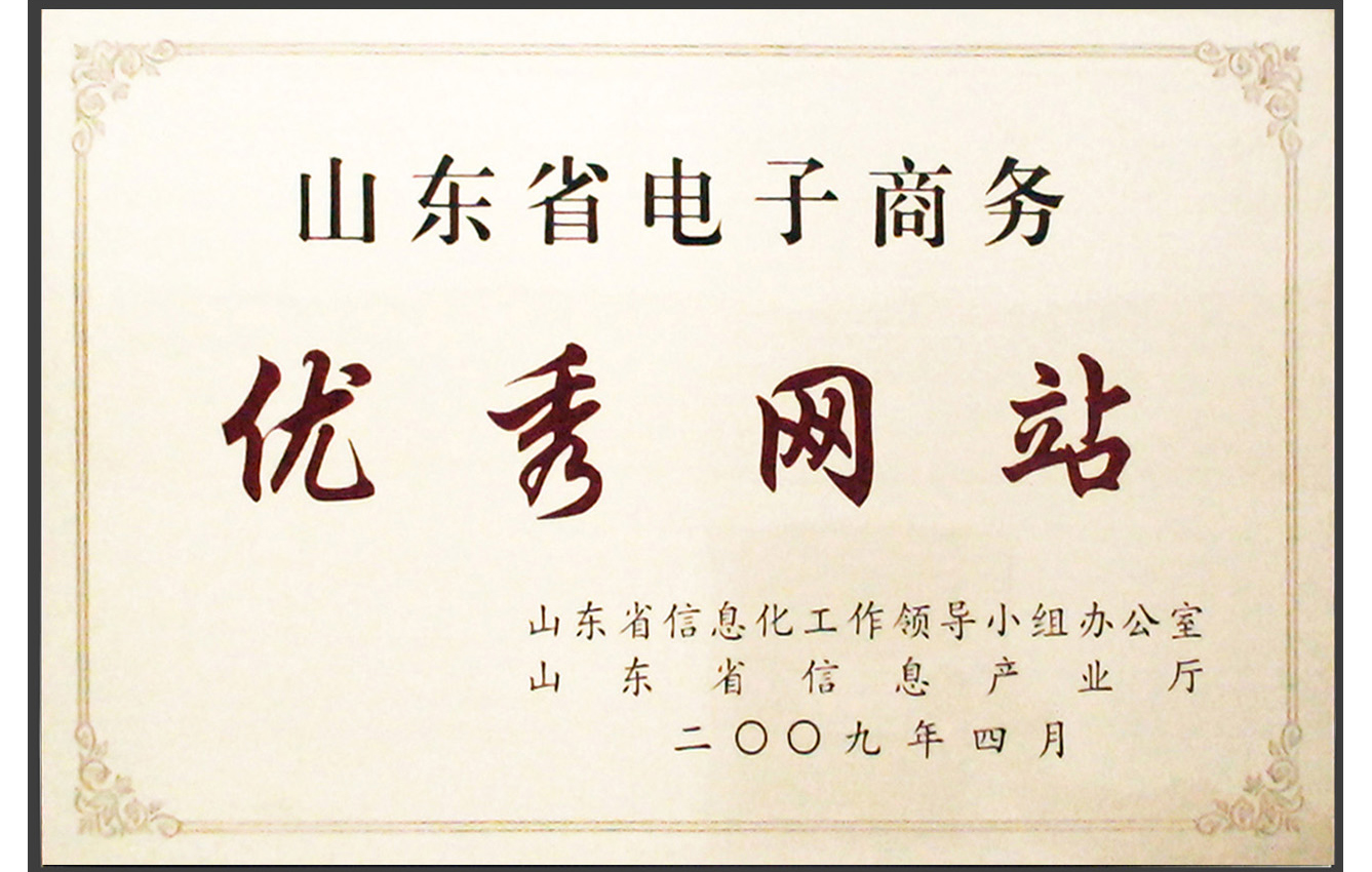 主題：山東省電子商務優(yōu)秀網(wǎng)站 日期：2009-06-05